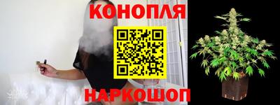 бошки Ставрополь
