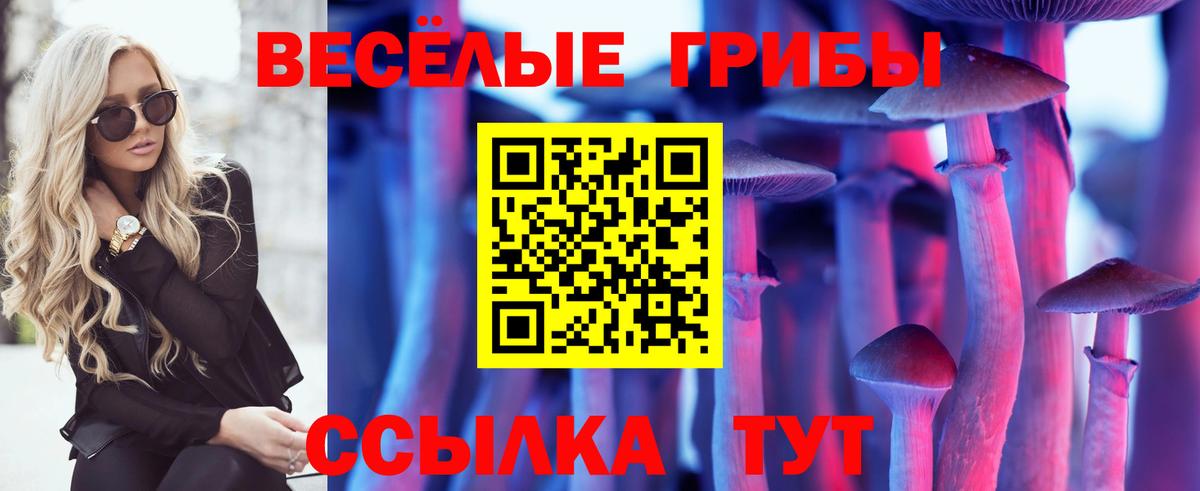 Нерюнгри  Псилоцибиновые грибы Psilocybine cubensis  как найти   Вход с VPN 